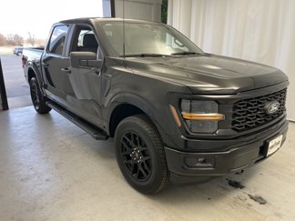 New 2025 Ford F150 STX w/ STX Black Appearance Package image 1