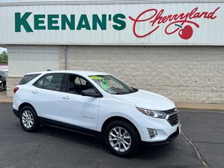 Used 2019 Chevrolet Equinox LS image 1