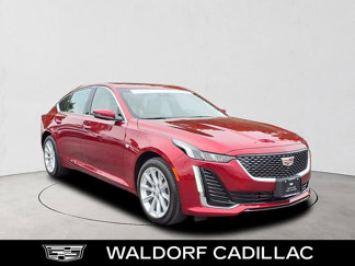 Certified 2024 Cadillac CT5 Luxury w/ Sun And Sound Package image 1