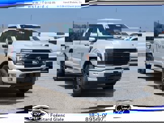New 2025 Ford F150 Platinum w/ Equipment Group 702A High image 1