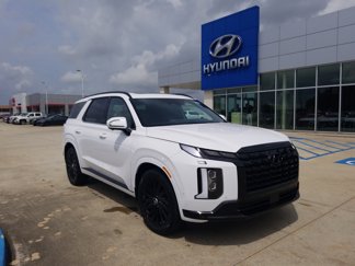New 2025 Hyundai Palisade Calligraphy image 1