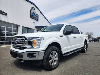 Used 2019 Ford F150 XLT w/ Equipment Group 302A Luxury image 1