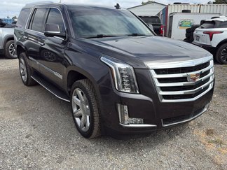 Used 2017 Cadillac Escalade Premium Luxury image 1