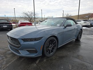New 2025 Ford Mustang Convertible w/ Mustang Nite Pony Package image 1