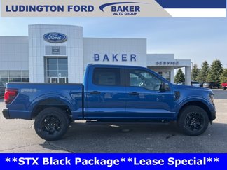 New 2025 Ford F150 STX w/ Equipment Group 201A FX4 image 1