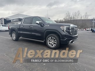 New 2025 GMC Sierra 1500 Denali w/ Technology Package image 1
