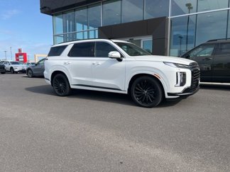 New 2025 Hyundai Palisade Calligraphy image 1