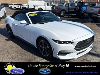 Used 2024 Ford Mustang Premium image 1