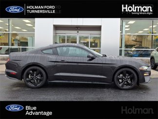 Certified 2022 Ford Mustang Premium w/ Equipment Group 201A image 1