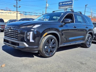 New 2025 Hyundai Palisade XRT image 1