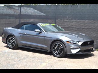 Used 2023 Ford Mustang Premium image 1
