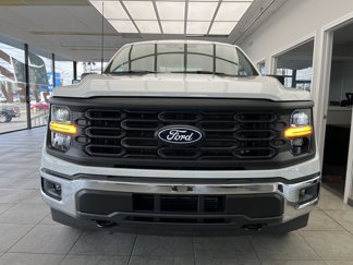 New 2025 Ford F150 XL w/ Equipment Group 103A High image 1