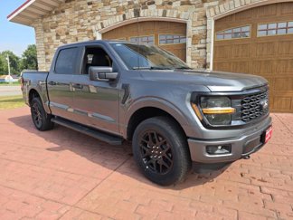 New 2025 Ford F150 STX image 1