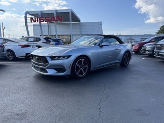 Used 2024 Ford Mustang Premium image 1