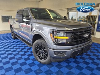Used 2025 Ford F150 XLT image 1