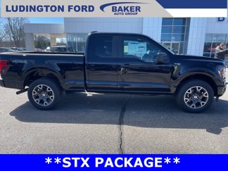 New 2025 Ford F150 STX image 1