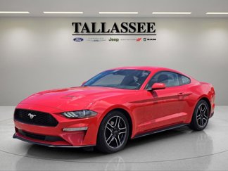 Used 2023 Ford Mustang Premium image 1