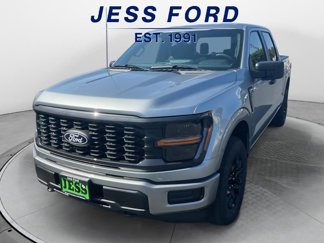 New 2025 Ford F150 STX image 1