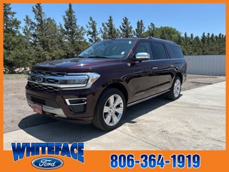 Used 2024 Ford Expedition Max Platinum image 1