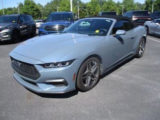 Used 2024 Ford Mustang Premium image 1