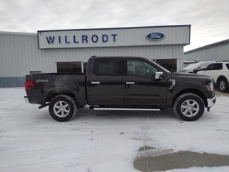 New 2024 Ford F150 XLT w/ Equipment Group 302A MID image 1