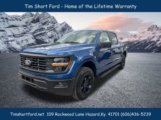 New 2025 Ford F150 STX image 1