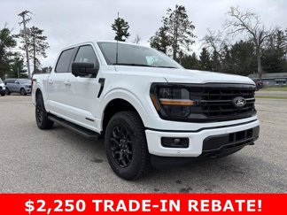 New 2025 Ford F150 XLT image 1