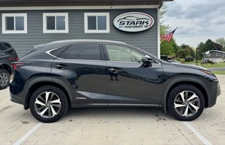 Used 2021 Lexus NX 300h AWD w/ Premium Package image 1