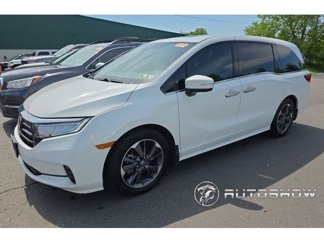 Used 2023 Honda Odyssey Elite image 1