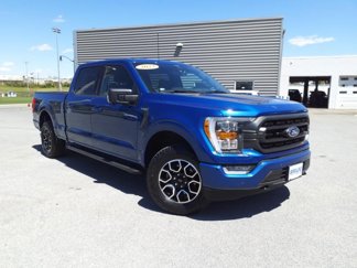 Used 2023 Ford F150 XLT w/ Equipment Group 302A High image 1
