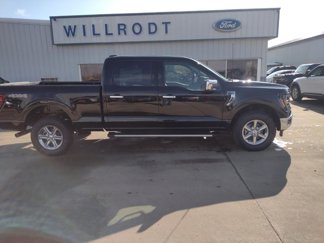 New 2025 Ford F150 XLT w/ Equipment Group 302A MID image 1