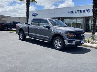 New 2025 Ford F150 XLT w/ Equipment Group 302A MID image 1