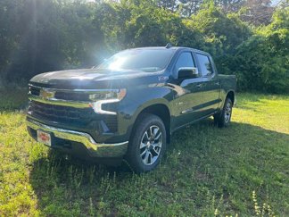 New 2025 Chevrolet Silverado 1500 LT w/ Texas Edition Plus image 1