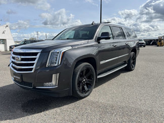 Used 2017 Cadillac Escalade ESV Luxury image 1