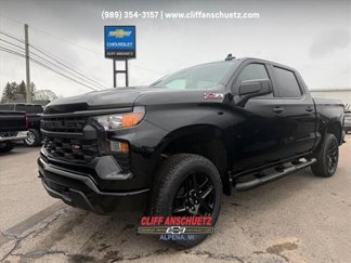 New 2025 Chevrolet Silverado 1500 Custom Trail Boss w/ Turbomax Blackout Package image 1