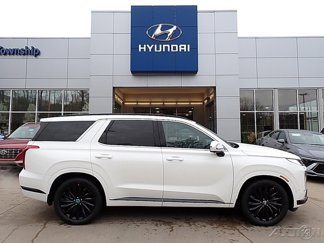 New 2025 Hyundai Palisade Calligraphy image 1