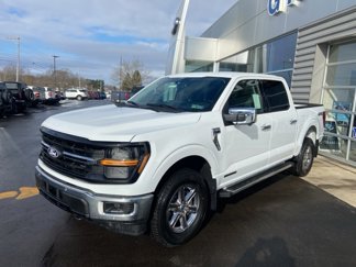 New 2025 Ford F150 XLT w/ Equipment Group 302A MID video 2