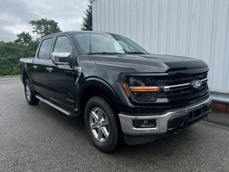 New 2025 Ford F150 XLT w/ Equipment Group 302A MID image 1
