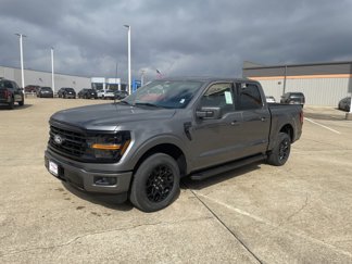 New 2025 Ford F150 XLT w/ Equipment Group 301A Standard image 1