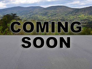 New 2025 Ford F250 XL image 1