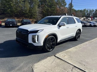 New 2025 Hyundai Palisade XRT image 1