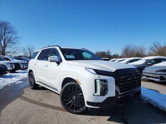 New 2025 Hyundai Palisade Calligraphy image 1