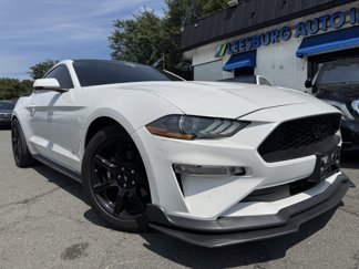 Used 2020 Ford Mustang Premium w/ Equipment Group 201A image 1