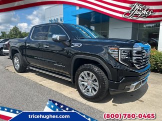 New 2026 GMC Sierra 1500 Denali w/ Technology Package image 1