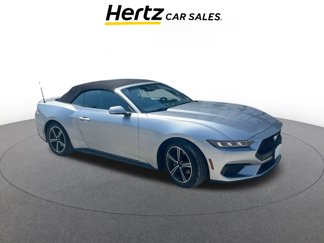 Used 2024 Ford Mustang Premium image 1