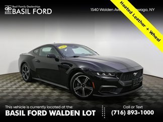 Used 2024 Ford Mustang Premium image 1