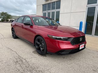 New 2025 Honda Accord Sport image 1
