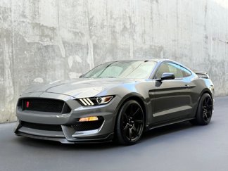 Used 2018 Ford Mustang Shelby GT350R w/ GT350R Equipment Group 920A image 1