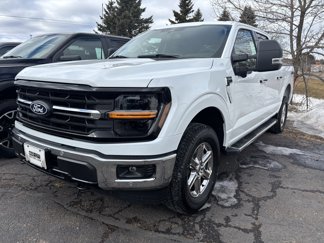 New 2025 Ford F150 XLT w/ Equipment Group 302A MID image 1