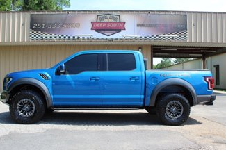 Used 2019 Ford F150 Raptor w/ Equipment Group 802A Luxury image 1